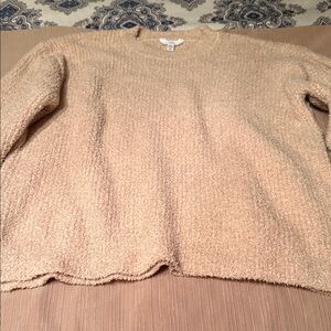 Time and Tru Soft Tan Crew Neck Sweater